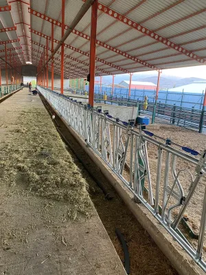 Feed Fronts For Cattle