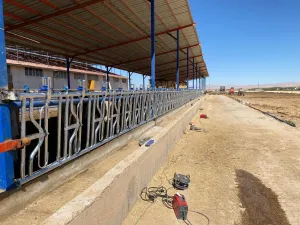 Feed Fronts For Cattle - 3