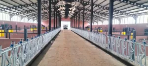 Feed Fronts For Cattle - 6