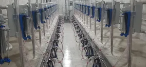 Milking Parlour - 5