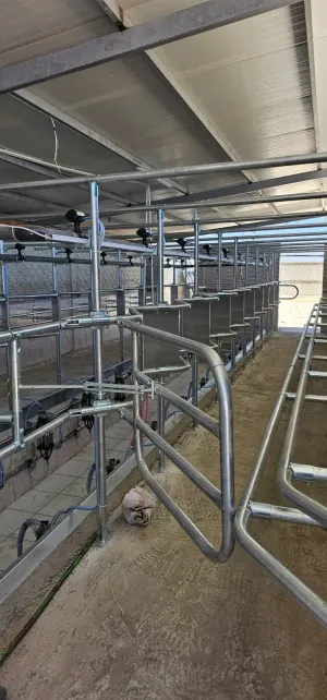 Milking Parlour - 6