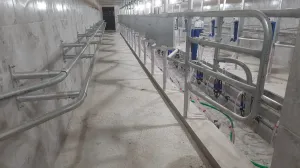 Milking Parlour - 7