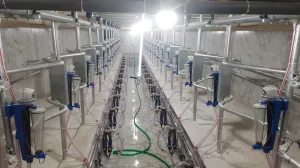 Milking Parlour - 8