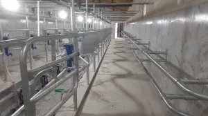 Milking Parlour - 9
